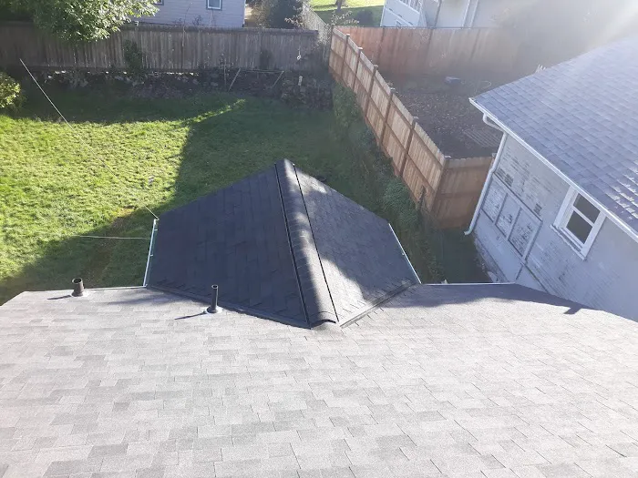 Awesome Roofing Picture 1