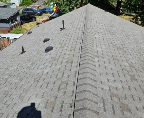 Ramirez Roofing, LLC Picture 3