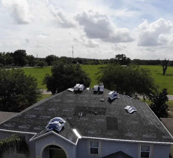 Salus Exteriors Picture 7