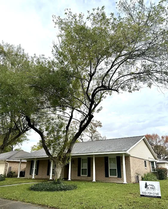 DC Pines Roofing Picture 3