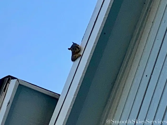 Smooth Skies Services Picture 6