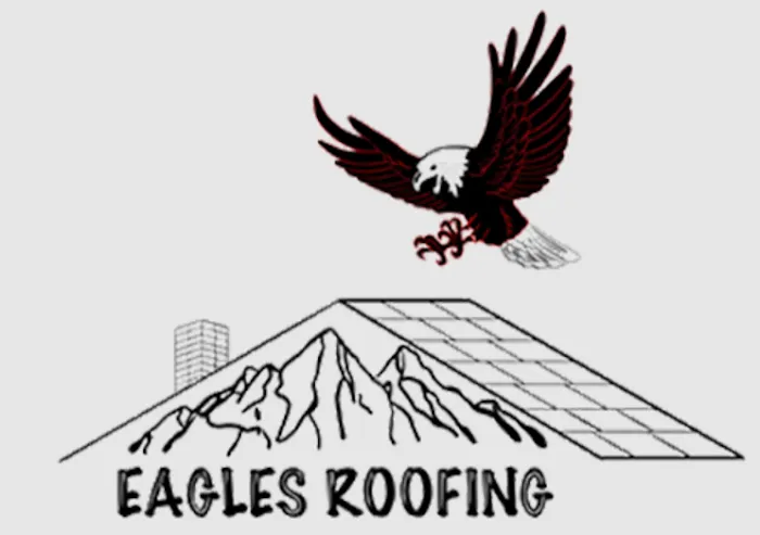 Eagles Roofing and Construction, Inc. Picture 1