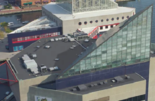 TPO Roofing Houston Picture 9