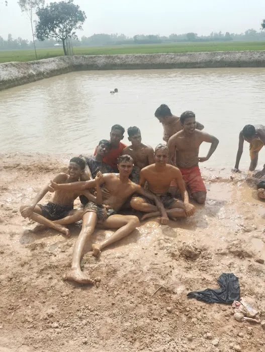 Roof Tile & Slate Co Picture 3