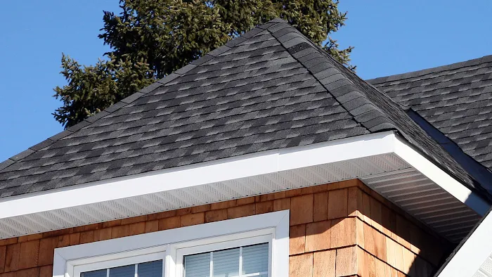 Berny's Roofer Picture 1