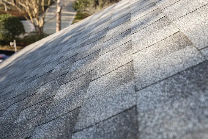 Rice Roofers Picture 7