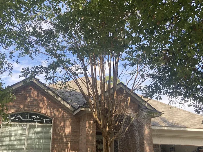 Lions Crown Roofing Picture 9