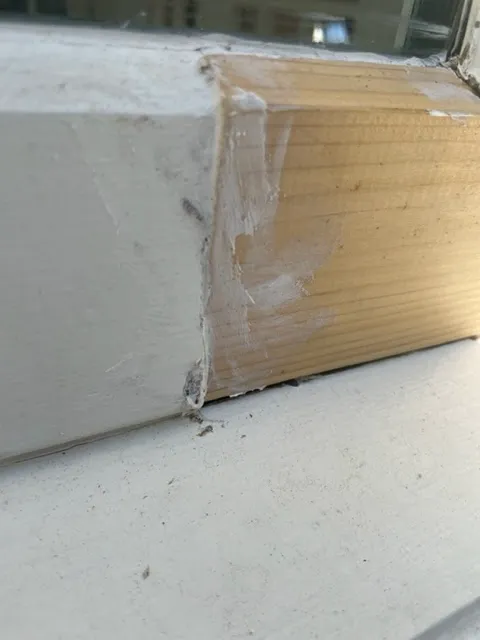 PermaClean Picture 2