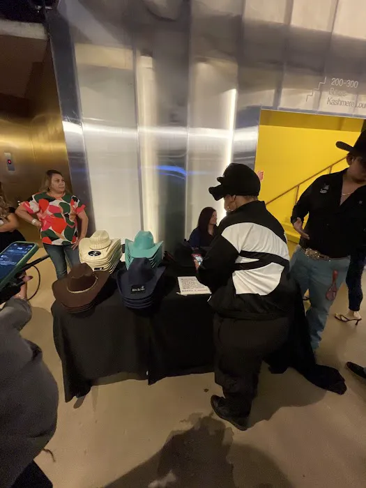 Hailstrike Roofing Picture 6