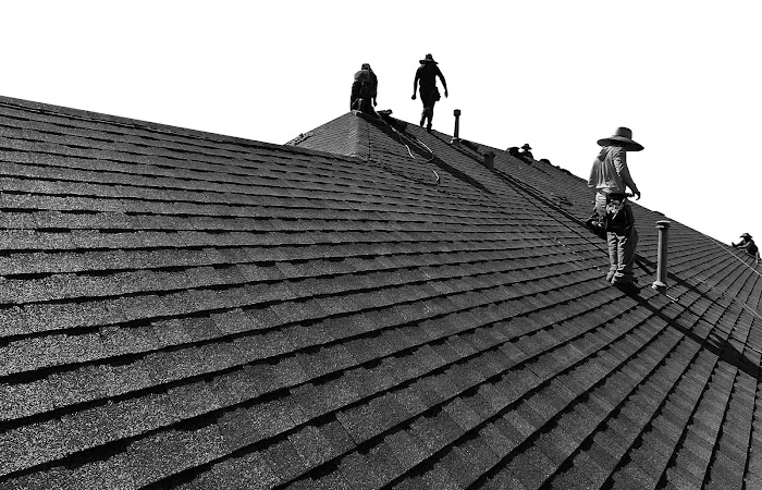 TX Roofing & Services Picture 7