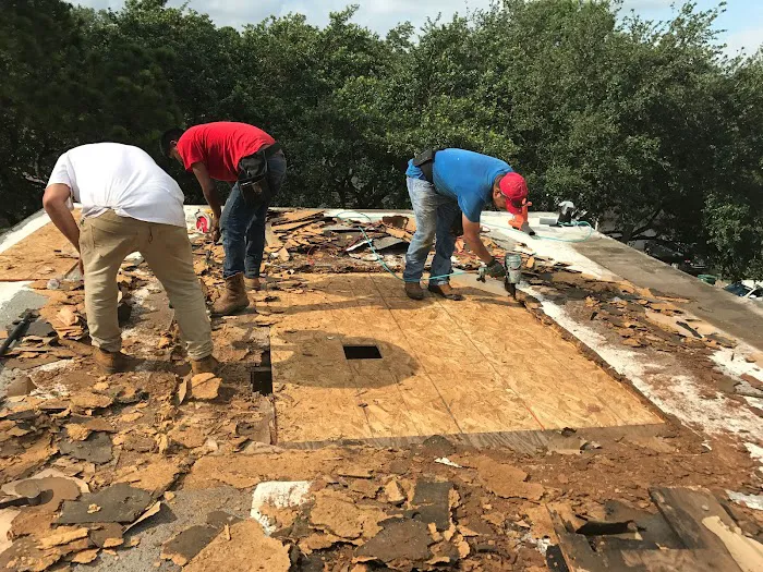 DG ROOFING SERVICES Picture 3