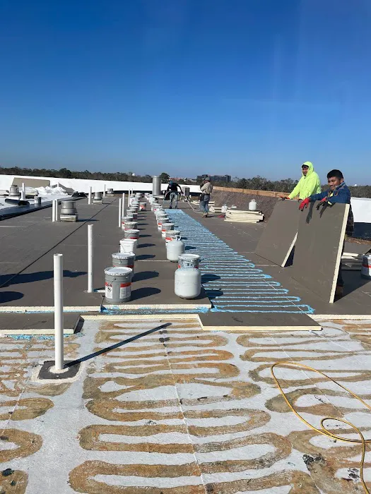 DG ROOFING SERVICES Picture 7