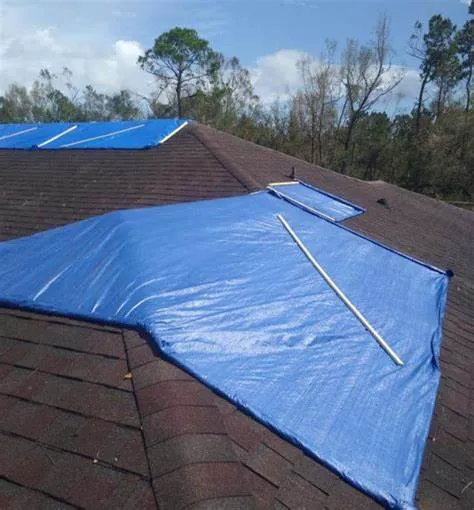 Top Brass Roofing & Renovation Picture 2