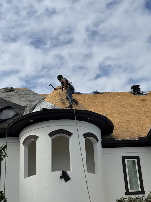 Noah Ark Roofing Picture 3