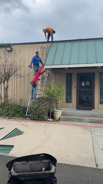 LMM Roofing Picture 8