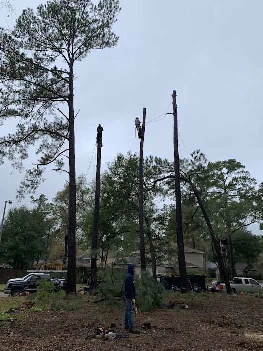 Champ Vision Multi-Services LLC Picture 10