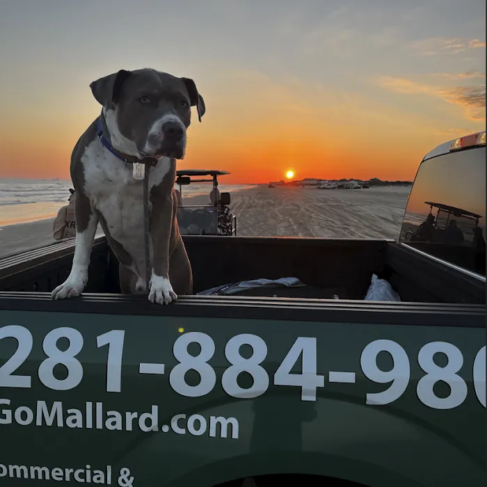 Mallard Construction & Roofing Houston Picture 8