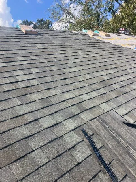 Lucid Services Picture 1