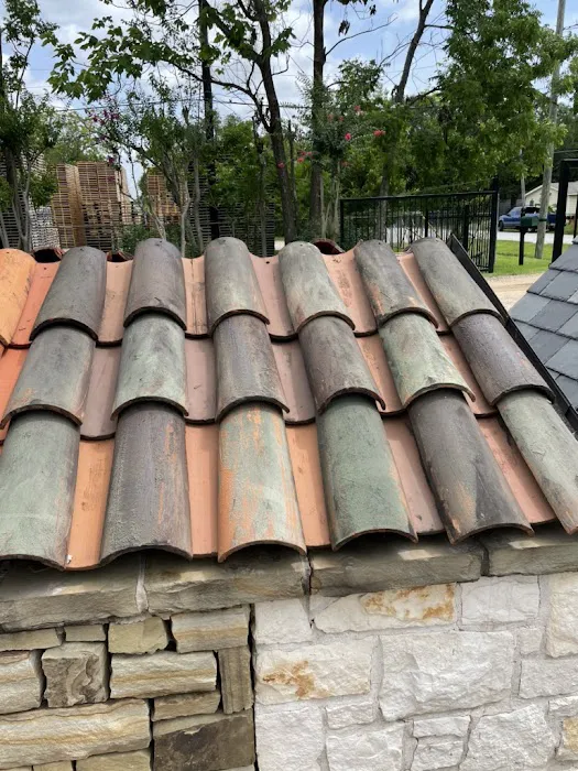 Lucid Services Picture 2