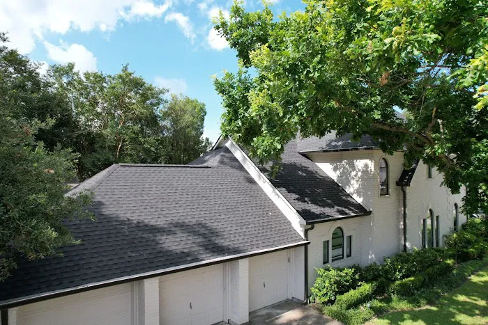 Lucid Services Picture 7