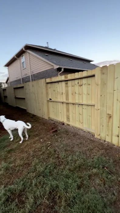 Andy Nichols Picture 1