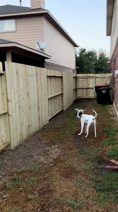 Andy Nichols Picture 2