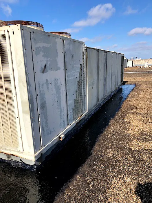 BD Roofing & Contracting Picture 4