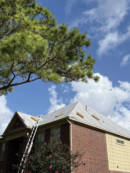 BD Roofing & Contracting Picture 8