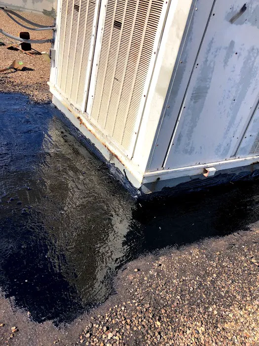 BD Roofing & Contracting Picture 9