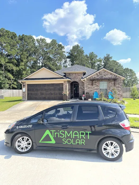 TriSMART Roofing Picture 2