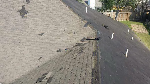 Daniel's roofing services Picture 3