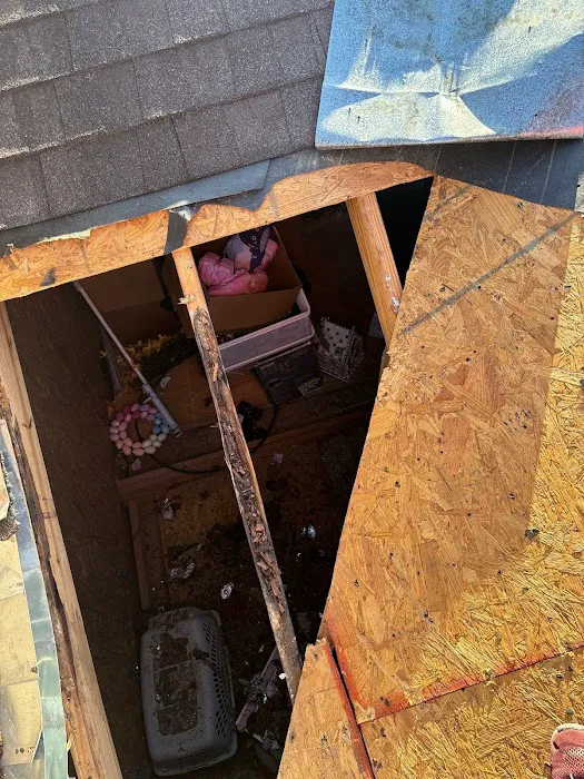 Roof Repair Services of Piney Point Village Picture 1