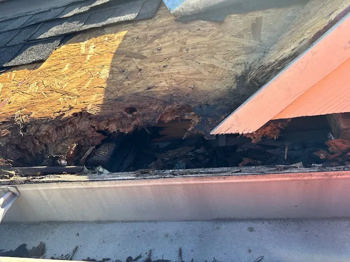 Roof Repair Services of Piney Point Village Picture 3