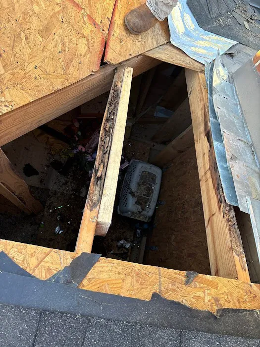 Roof Repair Services of Piney Point Village Picture 2