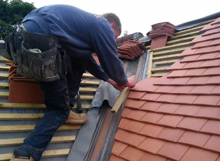 Chavez & Sons Roofing Picture 1