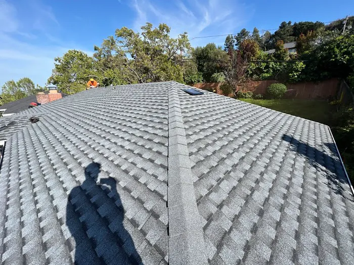 Eaton & Sons Roofing Picture 3