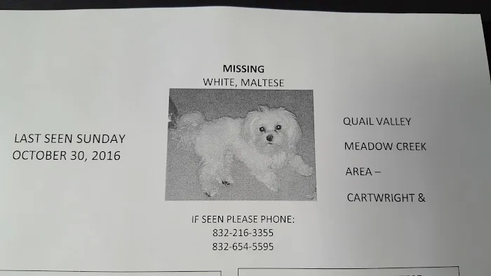 Fort Bend Roofing Picture 2