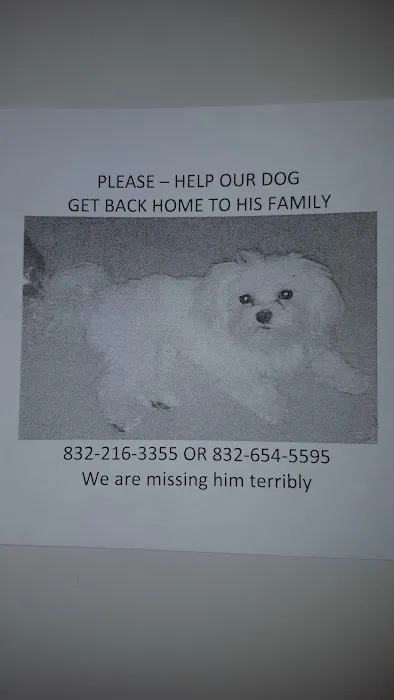 Fort Bend Roofing Picture 1