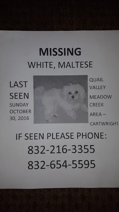 Fort Bend Roofing Picture 6