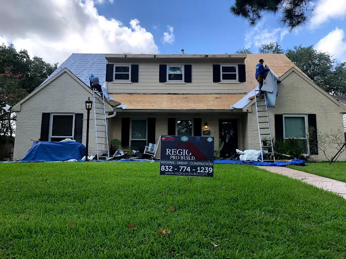 Regio Pro Build Roofing Picture 3