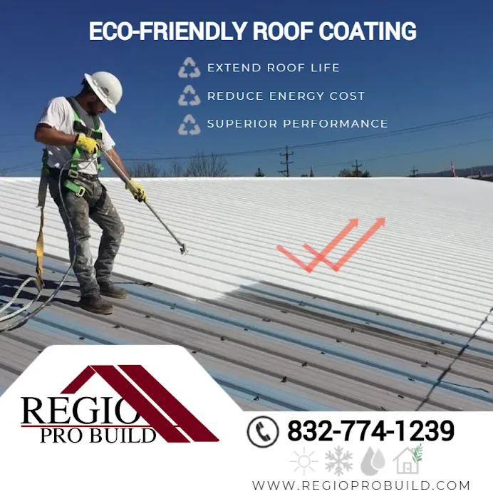 Regio Pro Build Roofing Picture 10