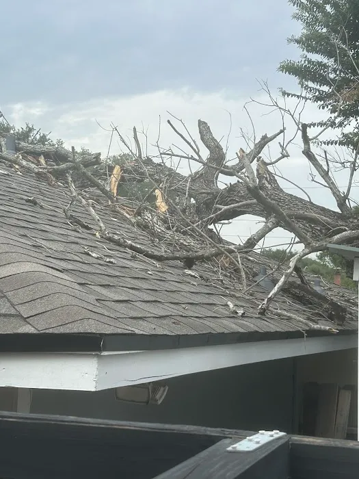 AllinOne Roofing Contractors Picture 5