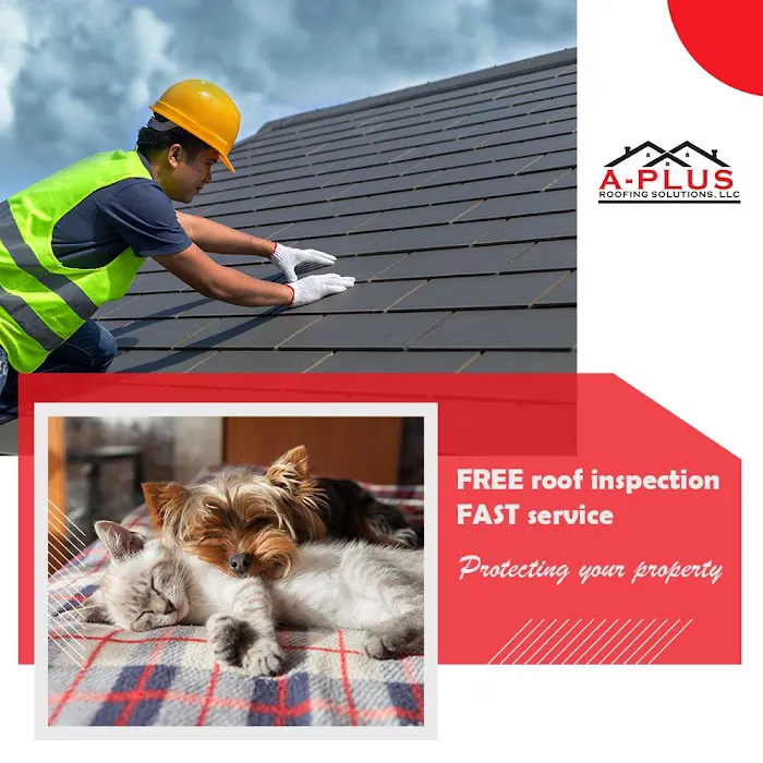 A Plus Roofing & Construction LLC Picture 8