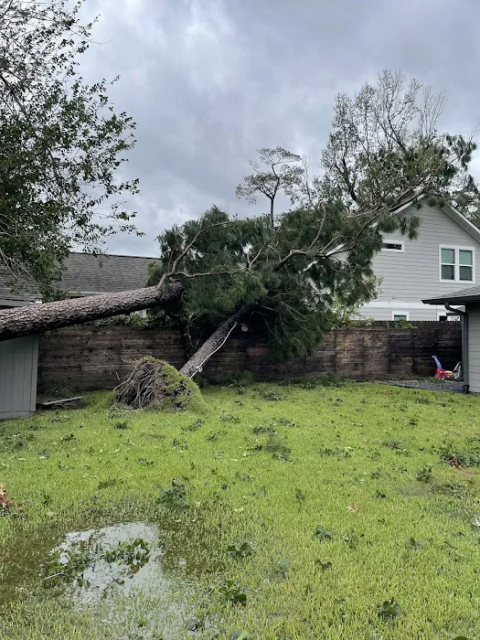 Innovative Houston Construction Picture 6