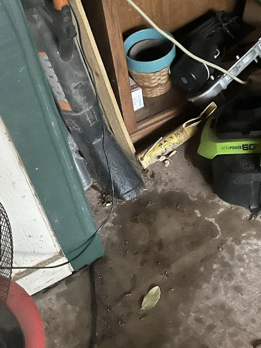 Express Commercial Roofing & Contractors Picture 2