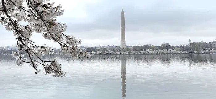 Roof Repair Services of Dewalt Picture 1