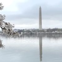 Roof Repair Services of Dewalt ico