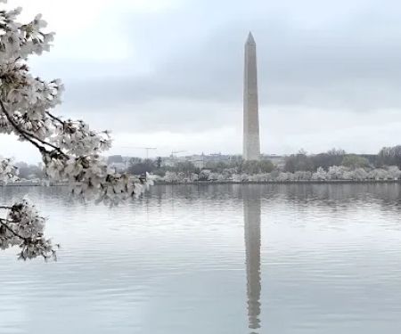 Roof Repair Services of Dewalt