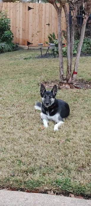 Geyer Roofing Picture 2