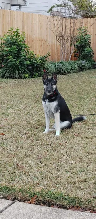 Geyer Roofing Picture 1